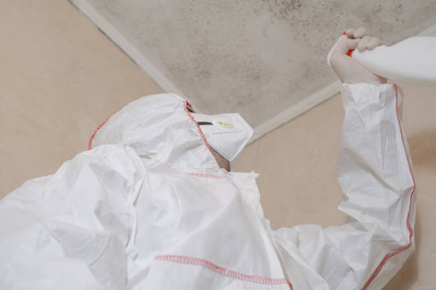 Best Water Damage Restoration  in Newberry, MI